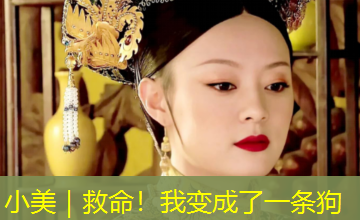 小美|救命!我变成了一条狗 小美|救命!我变成了一条狗
