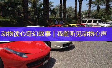 动物读心奇幻故事|我能听见动物心声 动物读心奇幻故事|我能听见动物心声