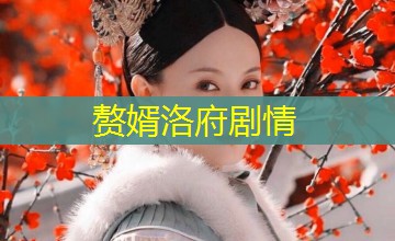 赘婿洛府剧情 赘婿洛府剧情