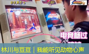 林川与豆豆|我能听见动物心声 林川与豆豆|我能听见动物心声