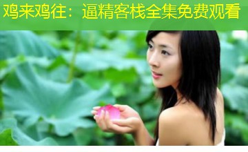 鸡来鸡往:逼精客栈全集免费观看 鸡来鸡往:逼精客栈全集免费观看