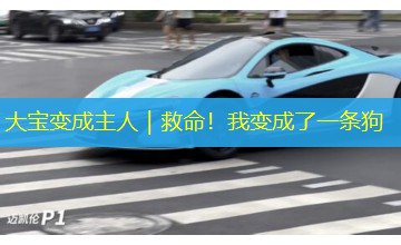 大宝变成主人|救命!我变成了一条狗 大宝变成主人|救命!我变成了一条狗