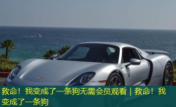 救命!我变成了一条狗无需会员观看|救命!我变成了一条狗 救命!我变成了一条狗无需会员观看|救命!我变成了一条狗
