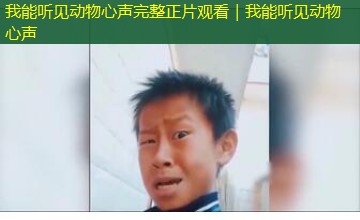我能听见动物心声完整正片观看|我能听见动物心声 我能听见动物心声完整正片观看|我能听见动物心声