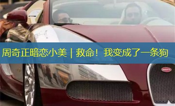 周奇正暗恋小美|救命!我变成了一条狗 周奇正暗恋小美|救命!我变成了一条狗