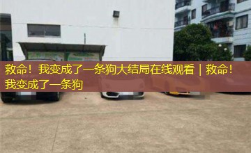 救命!我变成了一条狗大结局在线观看|救命!我变成了一条狗 救命!我变成了一条狗大结局在线观看|救命!我变成了一条狗