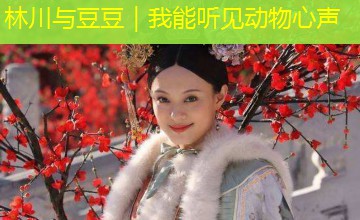 林川与豆豆|我能听见动物心声 林川与豆豆|我能听见动物心声