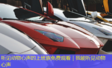 听见动物心声的上班族免费观看|我能听见动物心声 听见动物心声的上班族免费观看|我能听见动物心声