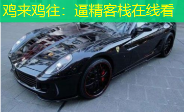 鸡来鸡往：逼精客栈在线看