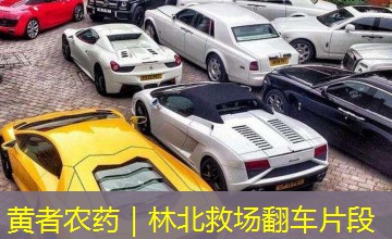 黄者农药|林北救场翻车片段 黄者农药|林北救场翻车片段